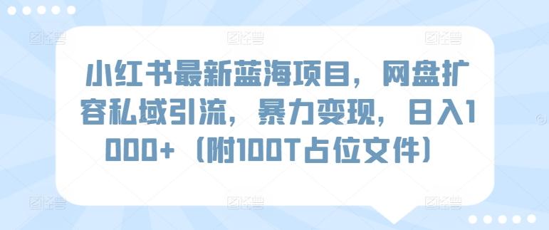 小红书最新蓝海项目，网盘扩容私域引流，暴力变现，日入1000+(附100T占位文件)【揭秘】-乐码云集