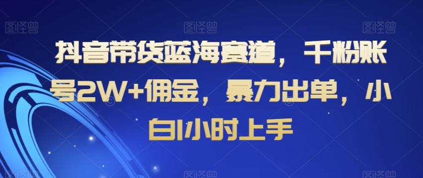 抖音带货蓝海赛道，千粉账号2W+佣金，暴力出单，小白1小时上手【揭秘】-乐码云集