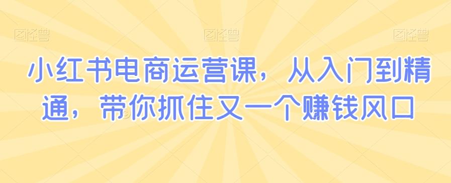 小红书电商运营课，从入门到精通，带你抓住又一个赚钱风口-乐码云集