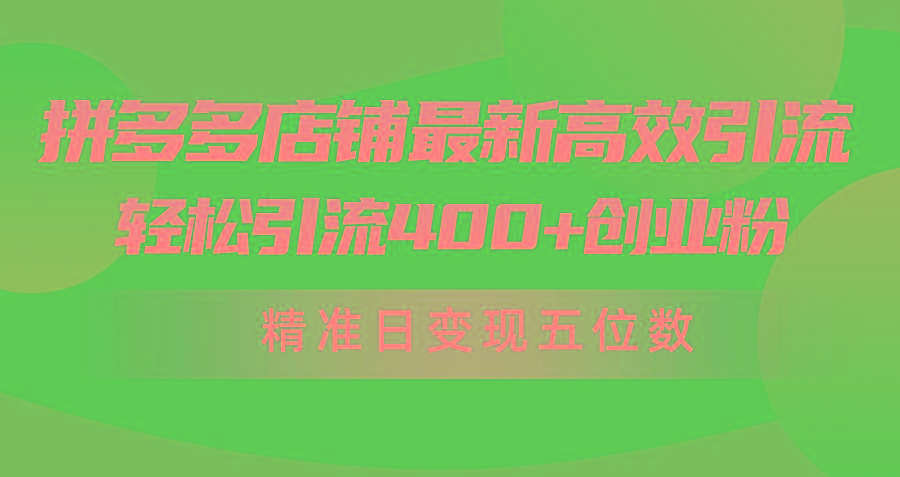 (10041期)拼多多店铺最新高效引流术，轻松引流400+创业粉，精准日变现五位数！-乐码云集