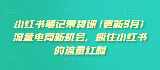 小红书笔记带货课(更新9月)流量电商新机会,抓住小红书的流量红利