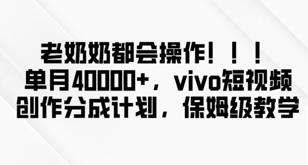 老奶奶都会操作，新平台无脑操作，单月40000+，vivo短视频创作分成计划【揭秘】-乐码云集