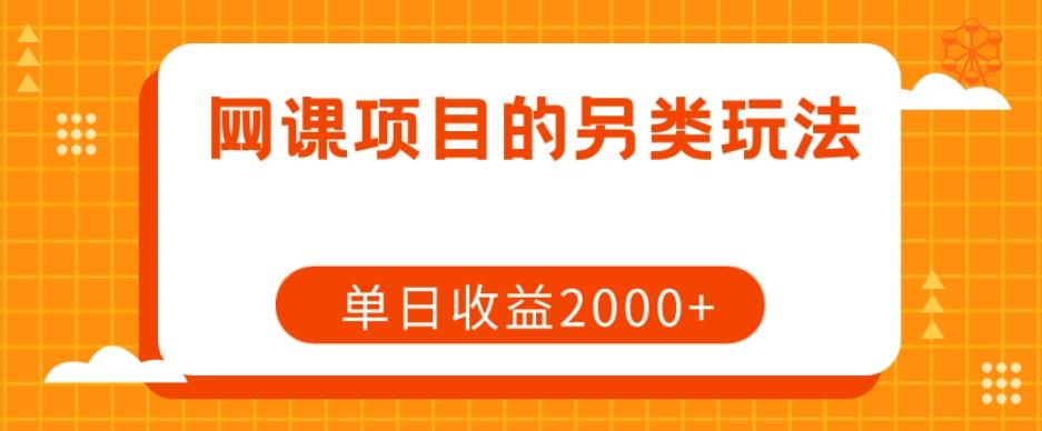 网课项目的另类玩法，单日收益2000+【揭秘】-乐码云集