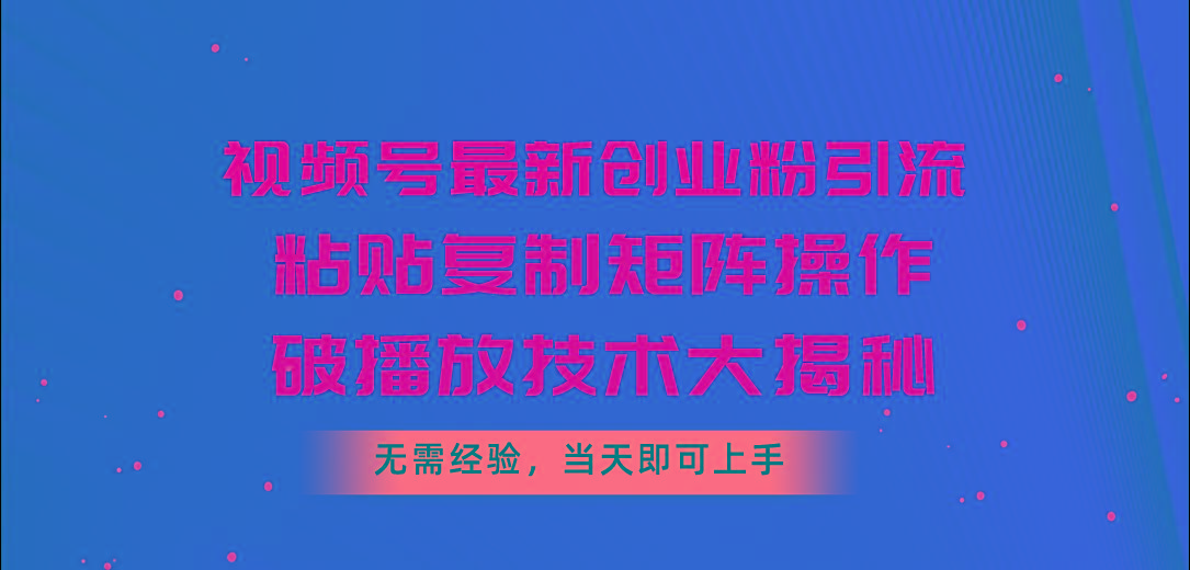 视频号最新创业粉引流，粘贴复制矩阵操作，破播放技术大揭秘，无需经验…-乐码云集
