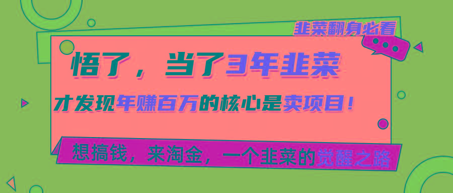 悟了，当了3年韭菜，才发现网赚圈年赚100万的核心是卖项目，含泪分享！-乐码云集