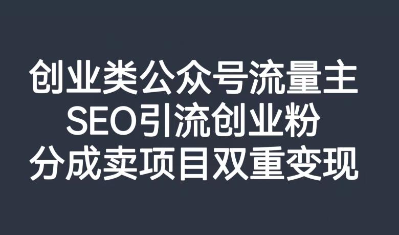 创业类公众号流量主，SEO引流创业粉，分成卖项目双重变现【揭秘】-乐码云集