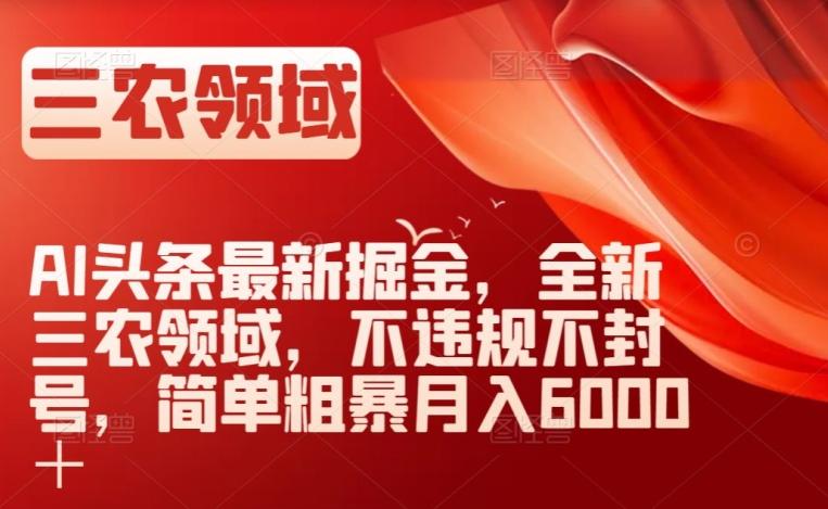AI头条最新掘金，全新三农领域，不违规不封号，简单粗暴月入6000＋【揭秘】-乐码云集