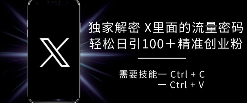 独家解密 X 里面的流量密码，复制粘贴轻松日引100+-乐码云集