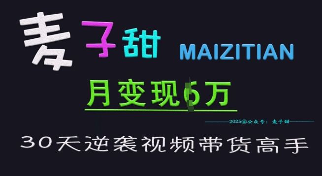 麦子甜30天逆袭视频带货高手，单月变现6W加特训营-乐码云集