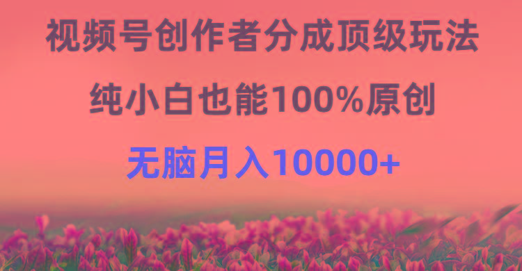 (9608期)视频号创作者分成顶级玩法，纯小白也能100%原创，无脑月入10000+-乐码云集