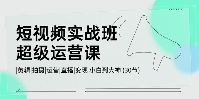 短视频实战班超级运营课 |剪辑|拍摄|运营|直播|变现 小白到大神 (30节)-乐码云集