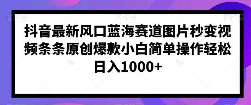 抖音最新风口蓝海赛道图片秒变视频条条原创爆款小白简单操作轻松日入1000+-乐码云集