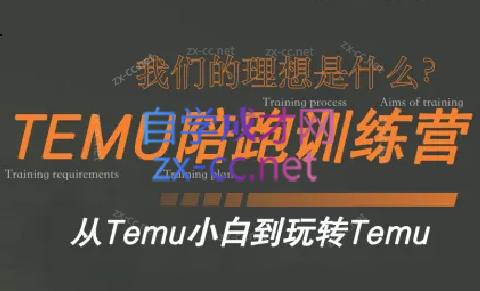 苗苗·拼多多跨境（temu）课程-乐码云集
