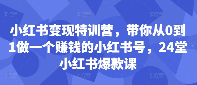 小红书变现特训营，带你从0到1做一个赚钱的小红书号，24堂小红书爆款课-乐码云集