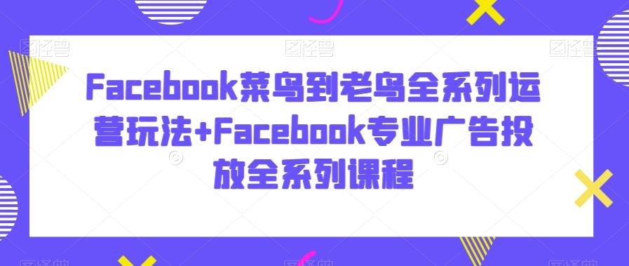 Facebook菜鸟到老鸟全系列运营玩法+Facebook专业广告投放全系列课程-乐码云集