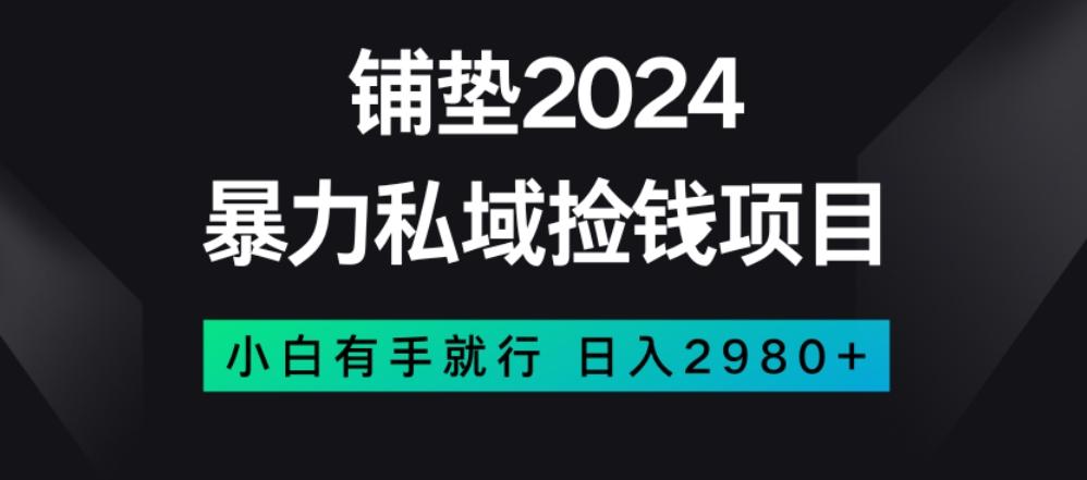 暴力私域捡钱项目，小白无脑操作，日入2980【揭秘】-乐码云集