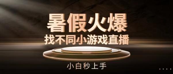 暑假火爆找不同小游戏直播间，小白秒上手【揭秘】-乐码云集