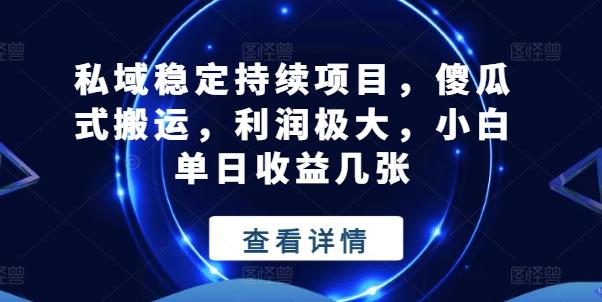 私域稳定持续项目，傻瓜式搬运，利润极大，小白单日收益几张【揭秘】-乐码云集