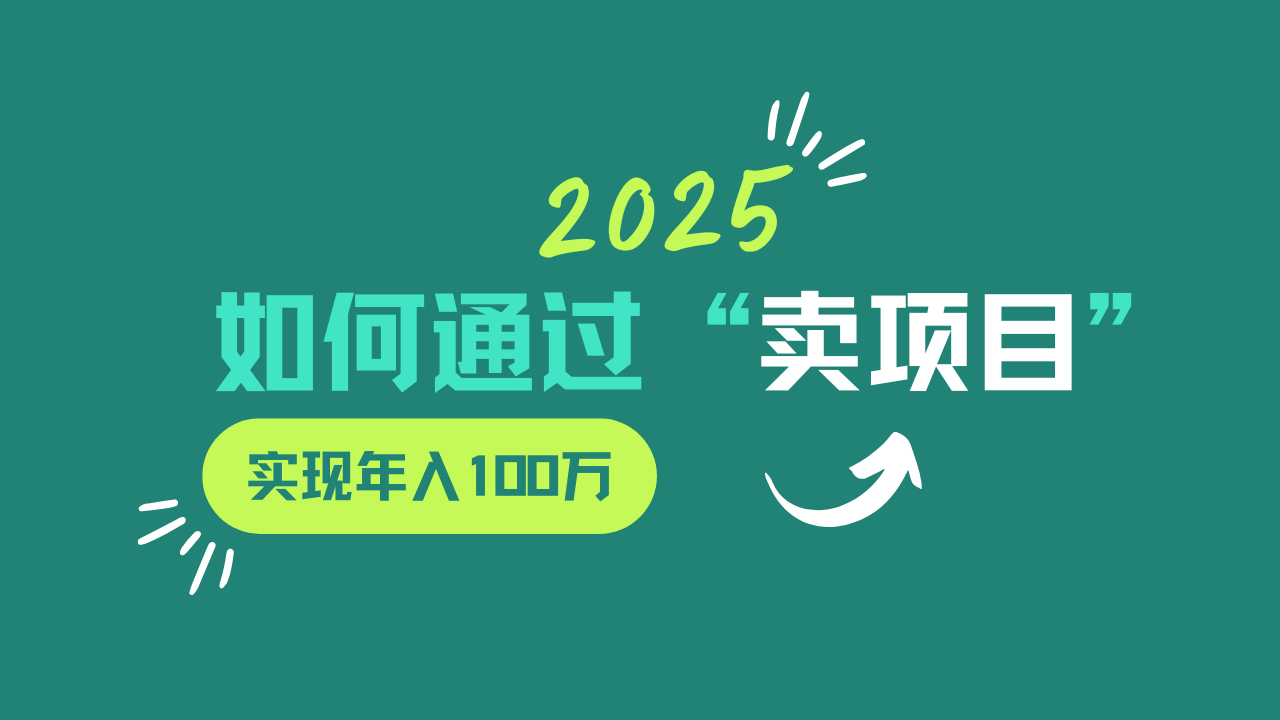 2025年如何通过“卖项目”实现年入100w-乐码云集