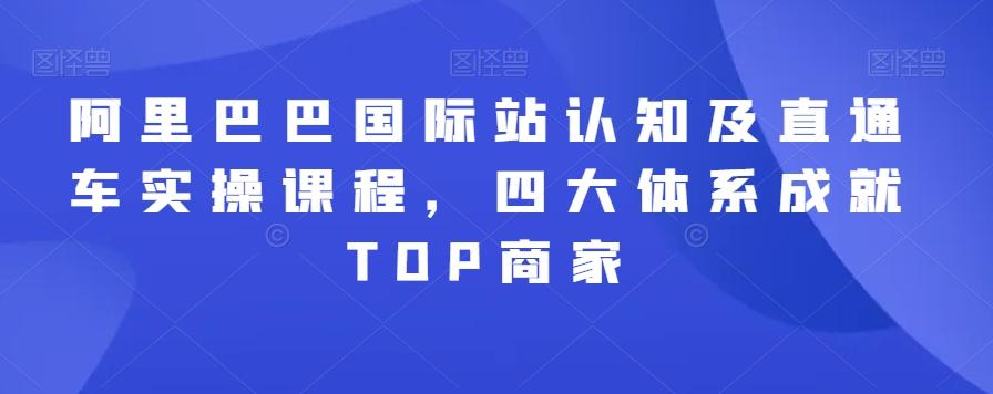 阿里巴巴国际站认知及直通车实操课程，四大体系成就TOP商家-乐码云集