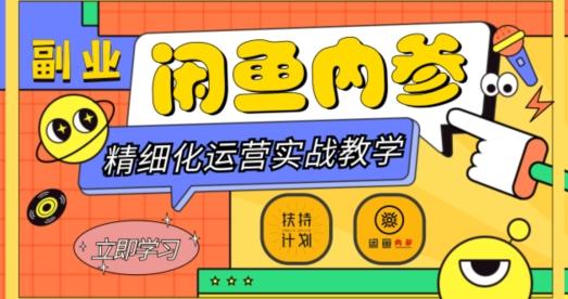 闲鱼精细化运营入门+高阶实战教学，从底层逻辑到轻松变现，多维度玩转闲鱼副业-乐码云集