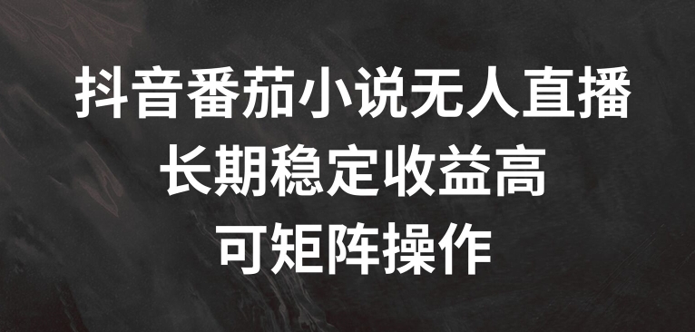 抖音番茄小说无人直播，长期稳定收益高，可矩阵操作【揭秘】-乐码云集