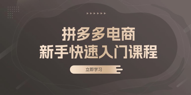拼多多电商新手快速入门课程：涵盖基础、实战与选款，助力小白轻松上手-乐码云集