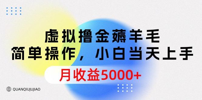 (9864期)虚拟撸金薅羊毛，简单操作，小白当天上手，月收益5000+-乐码云集
