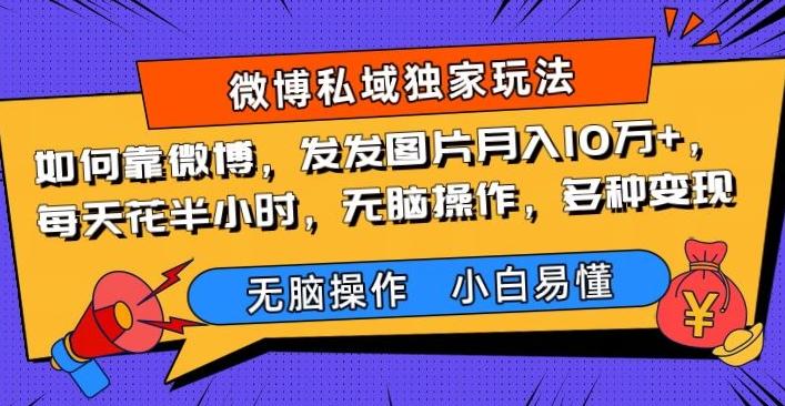 如何靠微博，发发图片月入10万+，‌每天花半小时，无脑操作，多种变现-乐码云集