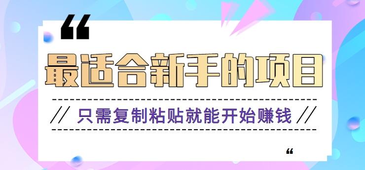 2024最适合新手操作的项目,新手小白只需复制粘贴就能开始赚钱【视频教程+软件】-乐码云集