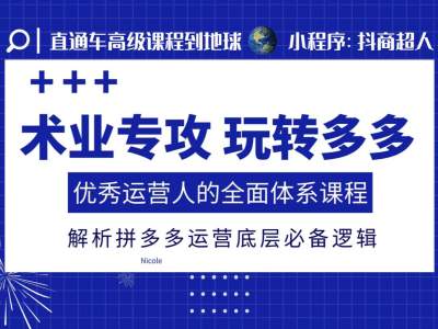 术业专攻玩转多多，优秀运营人的全面体系课程，解析拼多多运营底层必备逻辑-乐码云集
