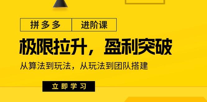 拼多多·进阶课：极限拉升/盈利突破：从算法到玩法 从玩法到团队搭建-18节-乐码云集