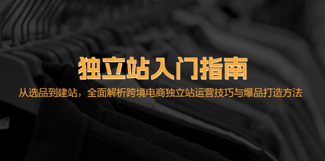 独立站入门指南：从选品到建站，全面解析跨境电商独立站运营技巧与爆品…-乐码云集