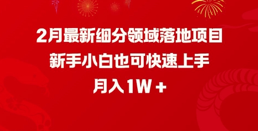 2月最新细分领域落地项目，新手小白也可快速上手，月入1W-乐码云集