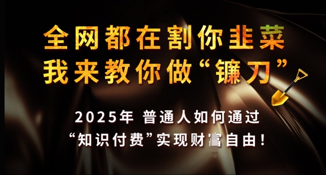 全网都在割你韭菜，我来教你做镰刀，2025年普通人如何通过 知识付费 实现财F自由【揭秘】-乐码云集