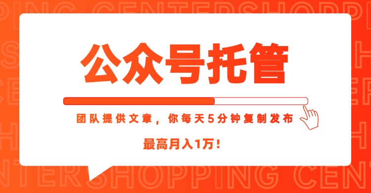 【公众号托管 】我提供文章，你每天５分钟复制发布，最高月入1W-乐码云集