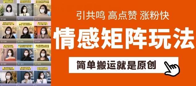 简单搬运，情感矩阵玩法，涨粉速度快，可带货，可起号【揭秘】-乐码云集