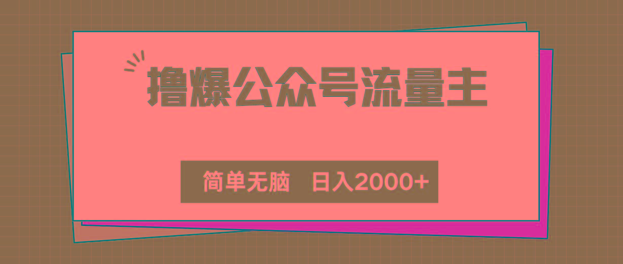 撸爆公众号流量主，简单无脑，单日变现2000+-乐码云集