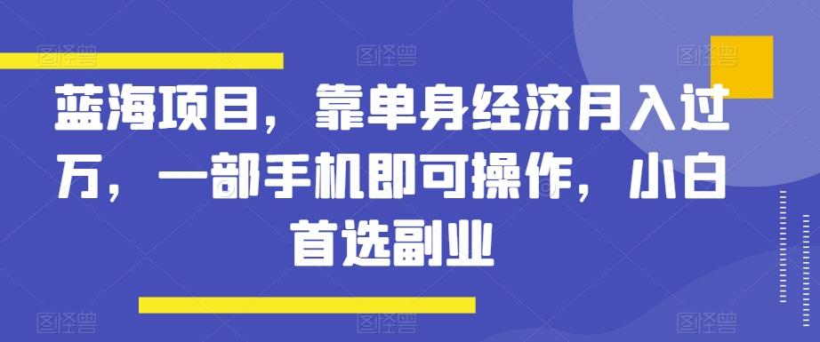 蓝海项目，靠单身经济月入过万，一部手机即可操作，小白首选副业【揭秘】-乐码云集