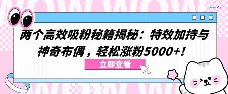 两个高效吸粉秘籍揭秘：特效加持与神奇布偶，轻松涨粉5000+【揭秘】-乐码云集