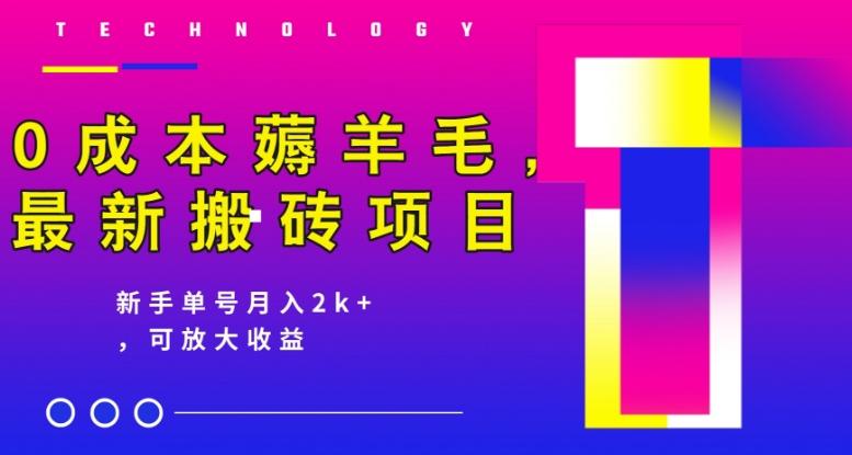 0成本薅羊毛，最新搬砖项目，新手单号月入2k+，可放大操作-乐码云集