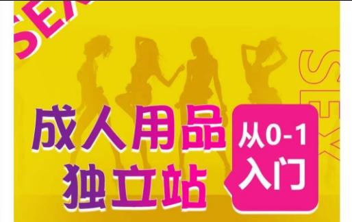 成人用品独立站从0-1入门，成品独立站运营全流程教学，七大好卖成品独立站推荐-乐码云集