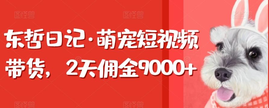 东哲日记·萌宠短视频带货，2天佣金9000+-乐码云集