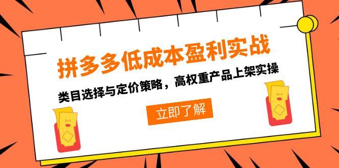 拼多多低成本盈利实战，类目选择与定价策略，高权重产品上架实操-乐码云集