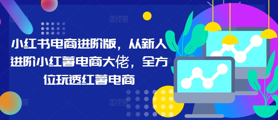 小红书电商进阶版，从新人进阶小红薯电商大佬，全方位玩透红薯电商-乐码云集
