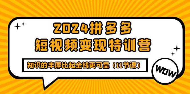 (9817期)2024拼多多短视频变现特训营，知识的丰厚比起金钱更可靠(11节课)-乐码云集