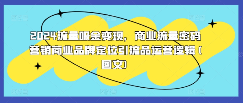 2024流量吸金变现，商业流量密码营销商业品牌定位引流品运营逻辑(图文)-乐码云集