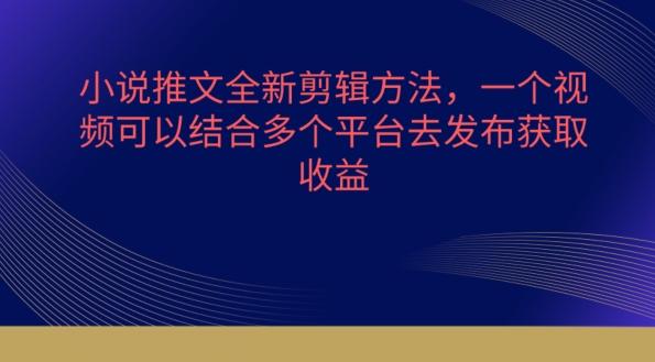 小说推文全新剪辑方法，一个视频可以结合多个平台去发布获取【揭秘】-乐码云集