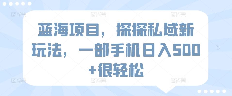 蓝海项目，探探私域新玩法，一部手机日入500+很轻松【揭秘】-乐码云集