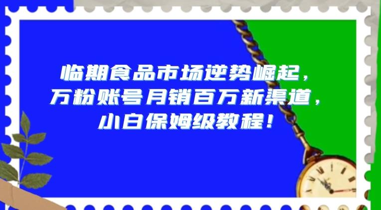 临期食品市场逆势崛起，万粉账号月销百万新渠道，小白保姆级教程【揭秘】-乐码云集